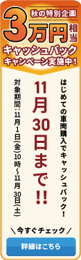 秋の特別企画 はじめての購入で３万円キャッシュバックキャンペーン実施中！