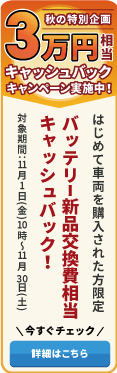 秋の特別企画 はじめての購入で３万円キャッシュバックキャンペーン実施中！