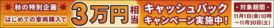 秋の特別企画 はじめての購入で３万円キャッシュバックキャンペーン実施中！