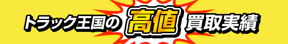 トラック王国の高価買取実績